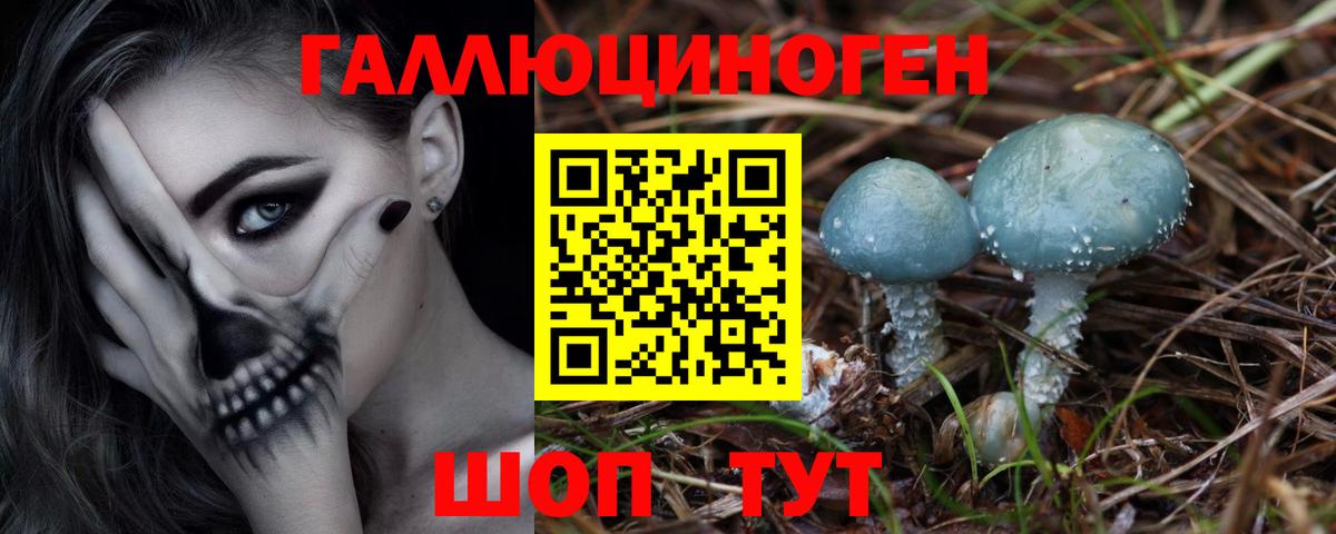 Псилоцибиновые грибы Cubensis  Вход с VPN  Муравленко 